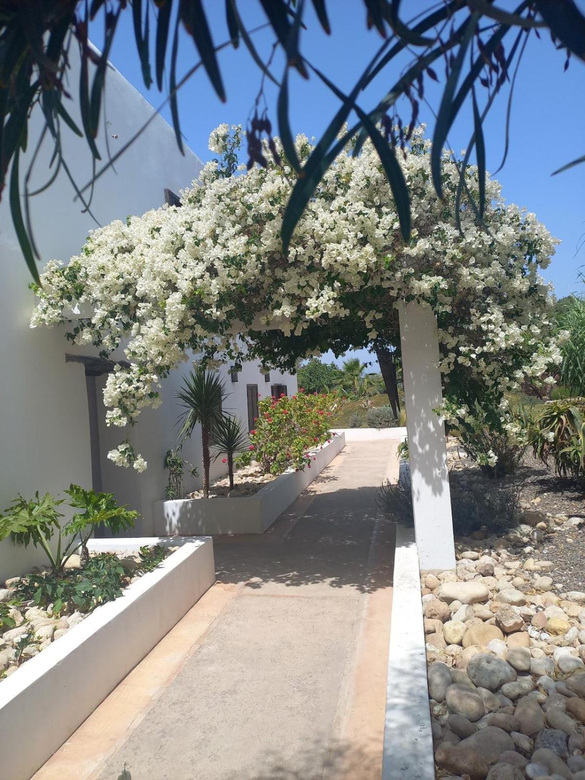 מלון אסאוירה Les Jardins De Silona, Piscine Chauffee מראה חיצוני תמונה