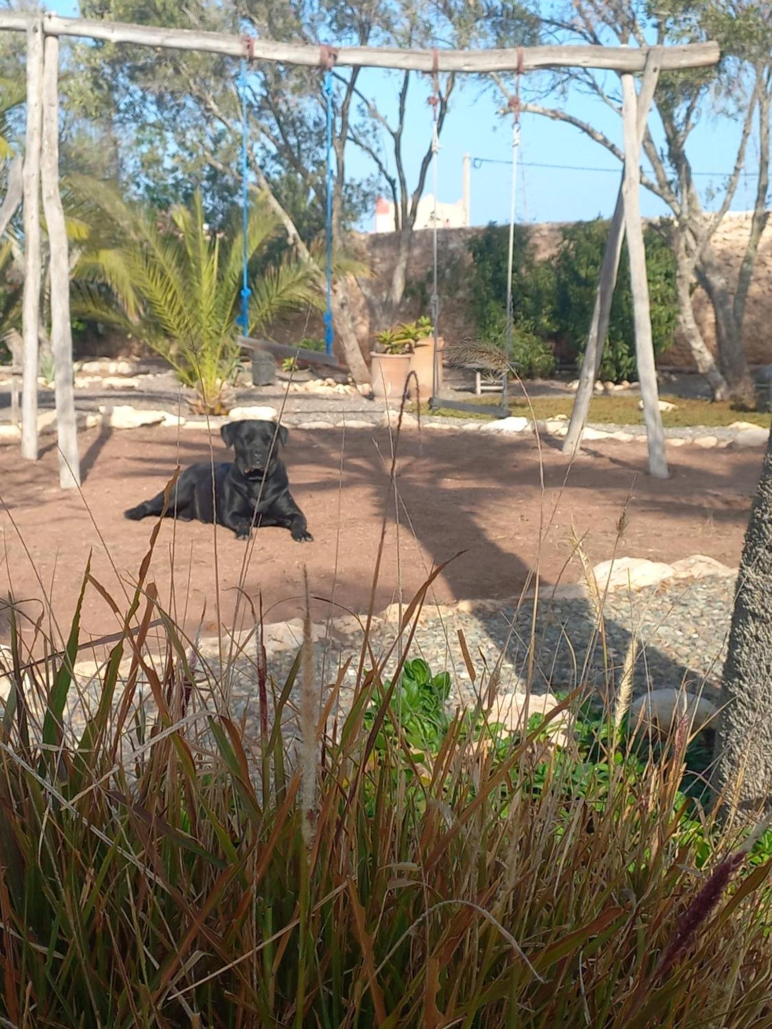 מלון אסאוירה Les Jardins De Silona, Piscine Chauffee מראה חיצוני תמונה