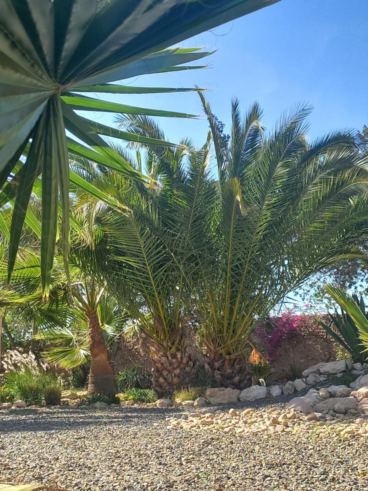 מלון אסאוירה Les Jardins De Silona, Piscine Chauffee מראה חיצוני תמונה